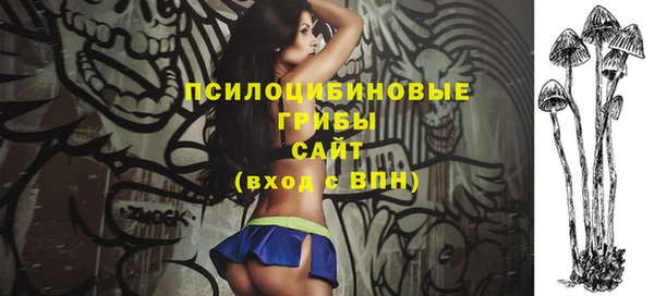 индика Аркадак