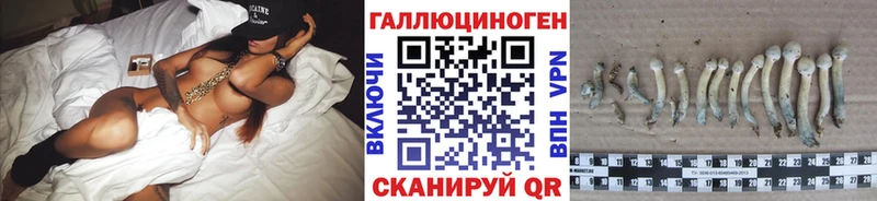 Галлюциногенные грибы Cubensis  Купить  Аркадак 